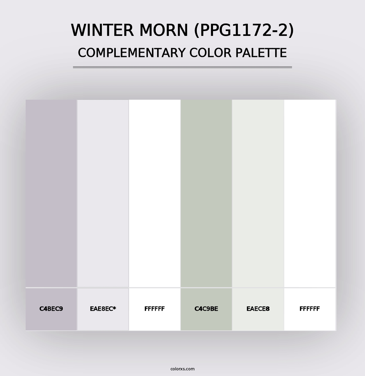 Winter Morn (PPG1172-2) - Complementary Color Palette