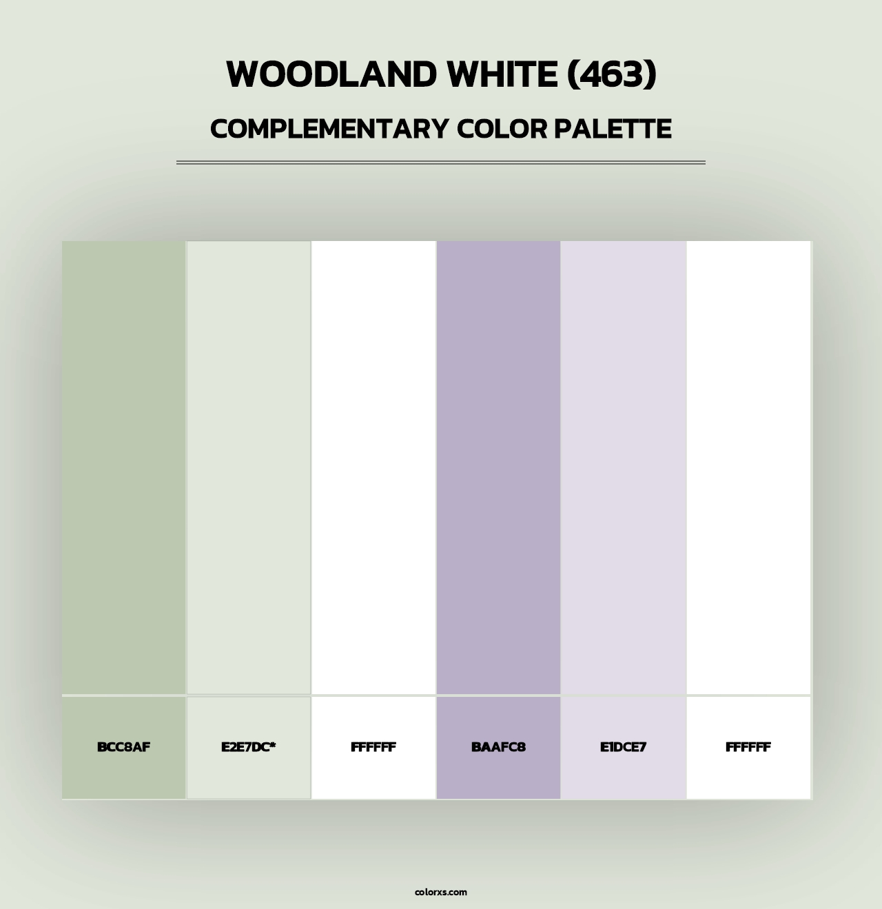 Woodland White (463) - Complementary Color Palette