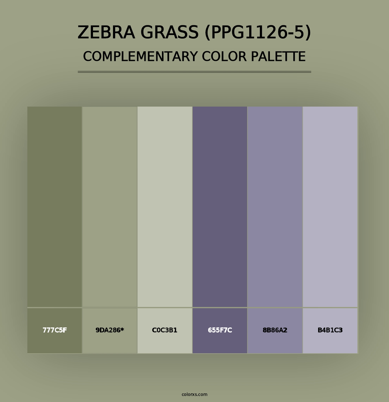 Zebra Grass (PPG1126-5) - Complementary Color Palette