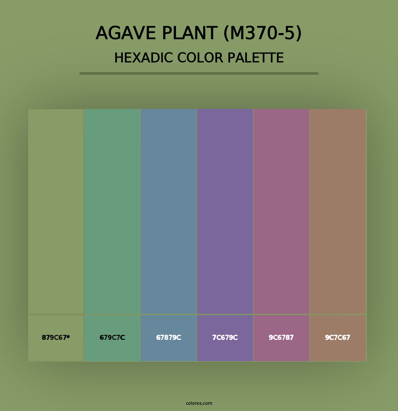 Agave Plant (M370-5) - Hexadic Color Palette