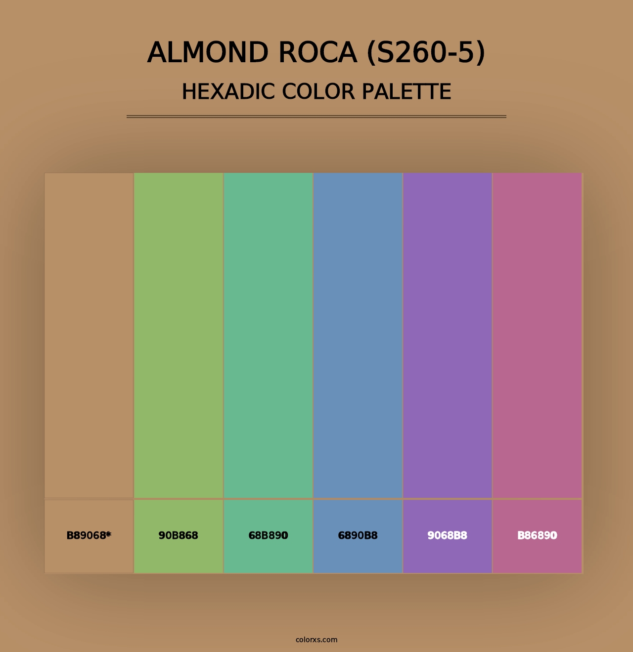 Almond Roca (S260-5) - Hexadic Color Palette