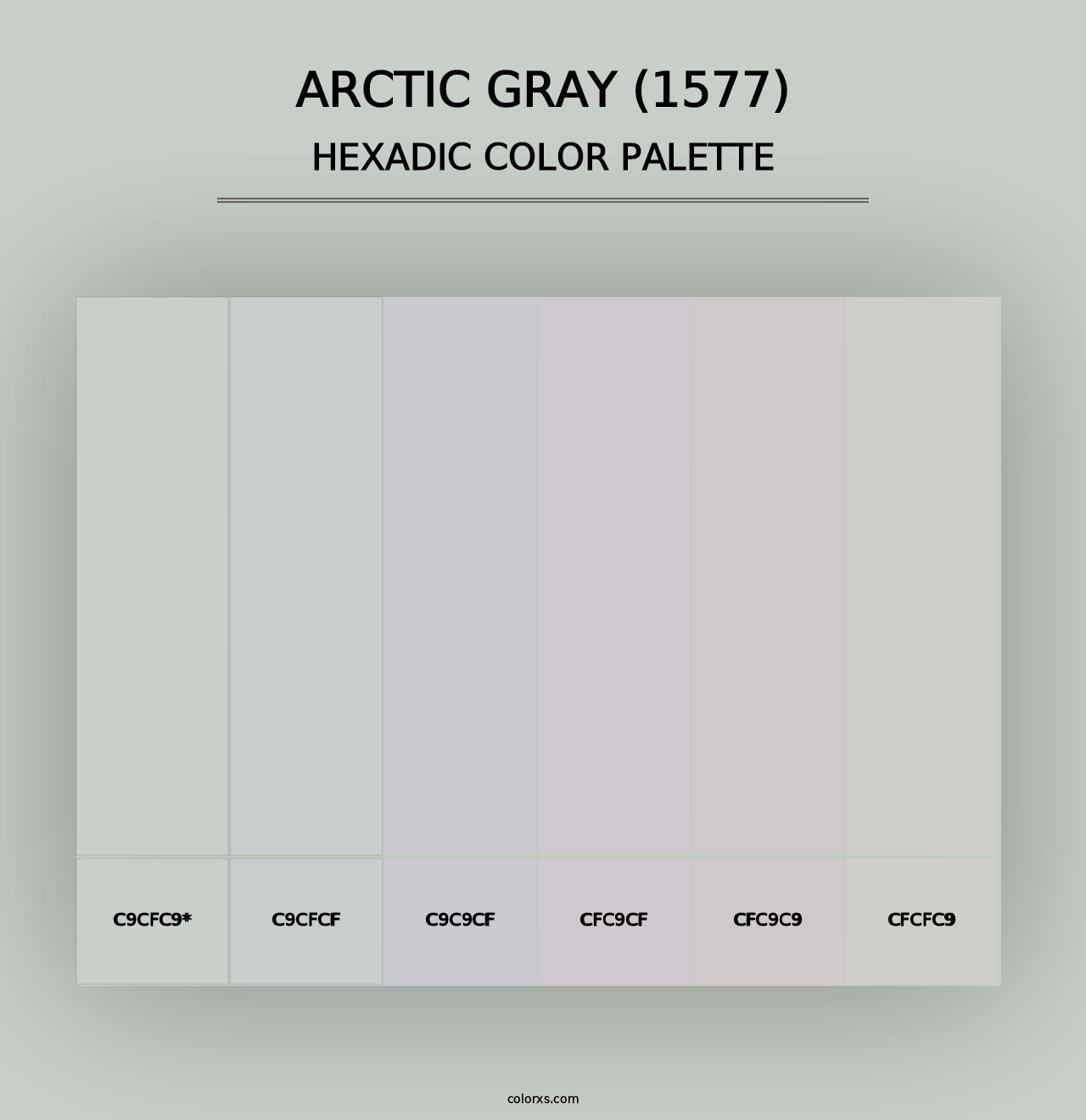 Arctic Gray (1577) - Hexadic Color Palette