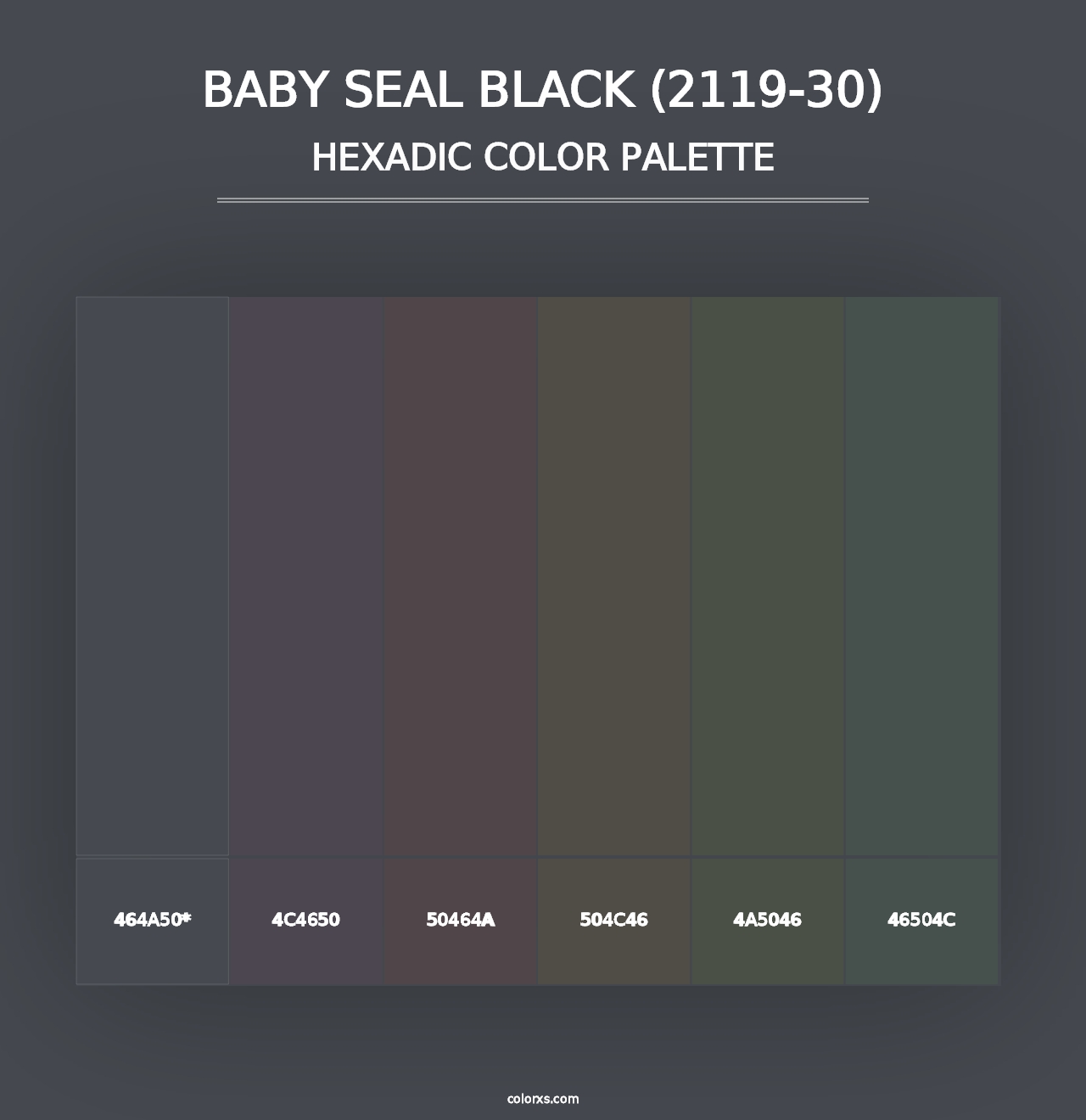 Baby Seal Black (2119-30) - Hexadic Color Palette