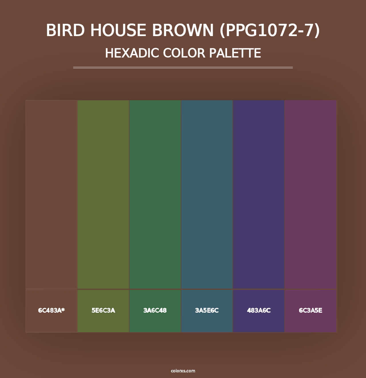 Bird House Brown (PPG1072-7) - Hexadic Color Palette