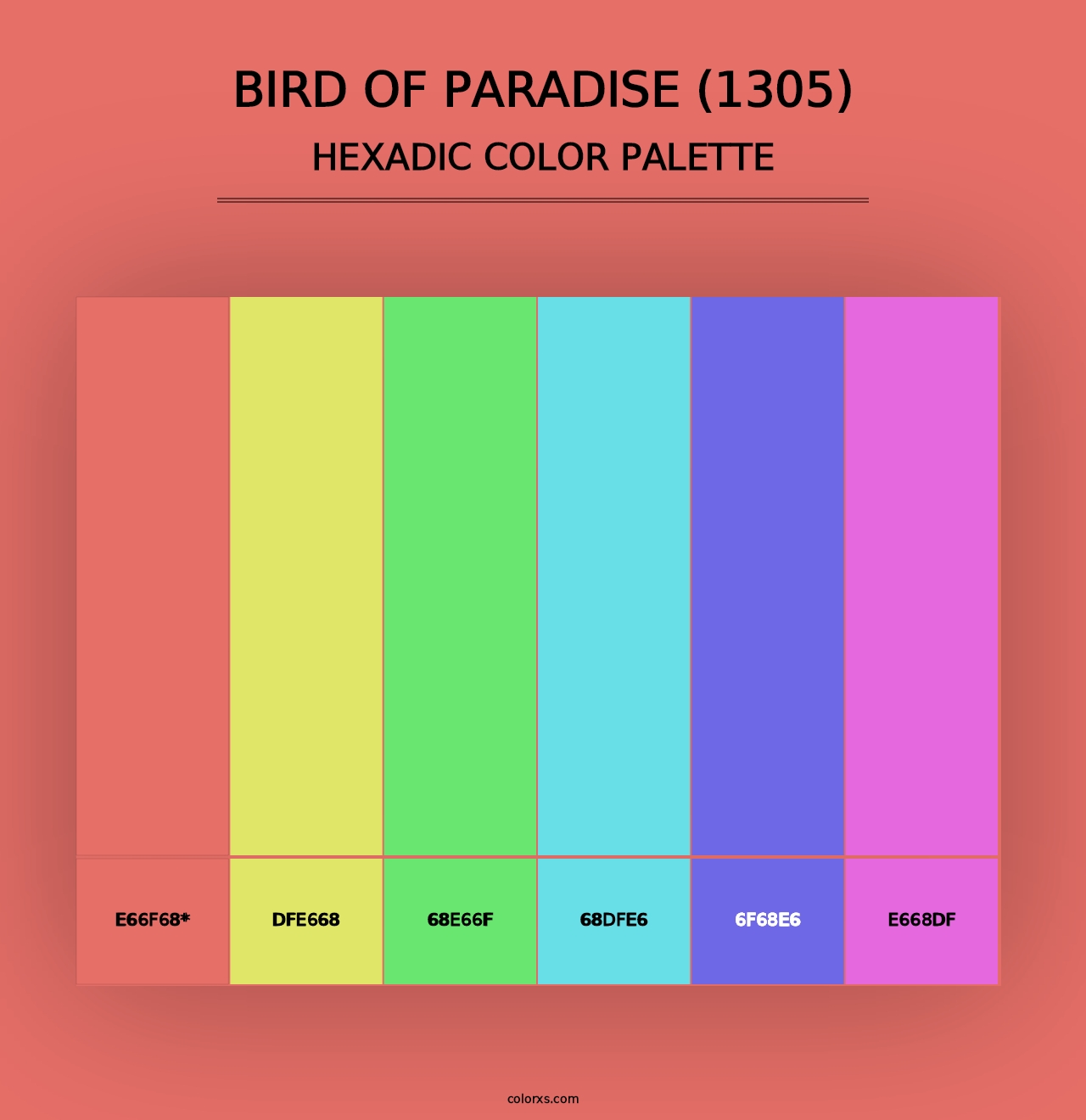 Bird of Paradise (1305) - Hexadic Color Palette