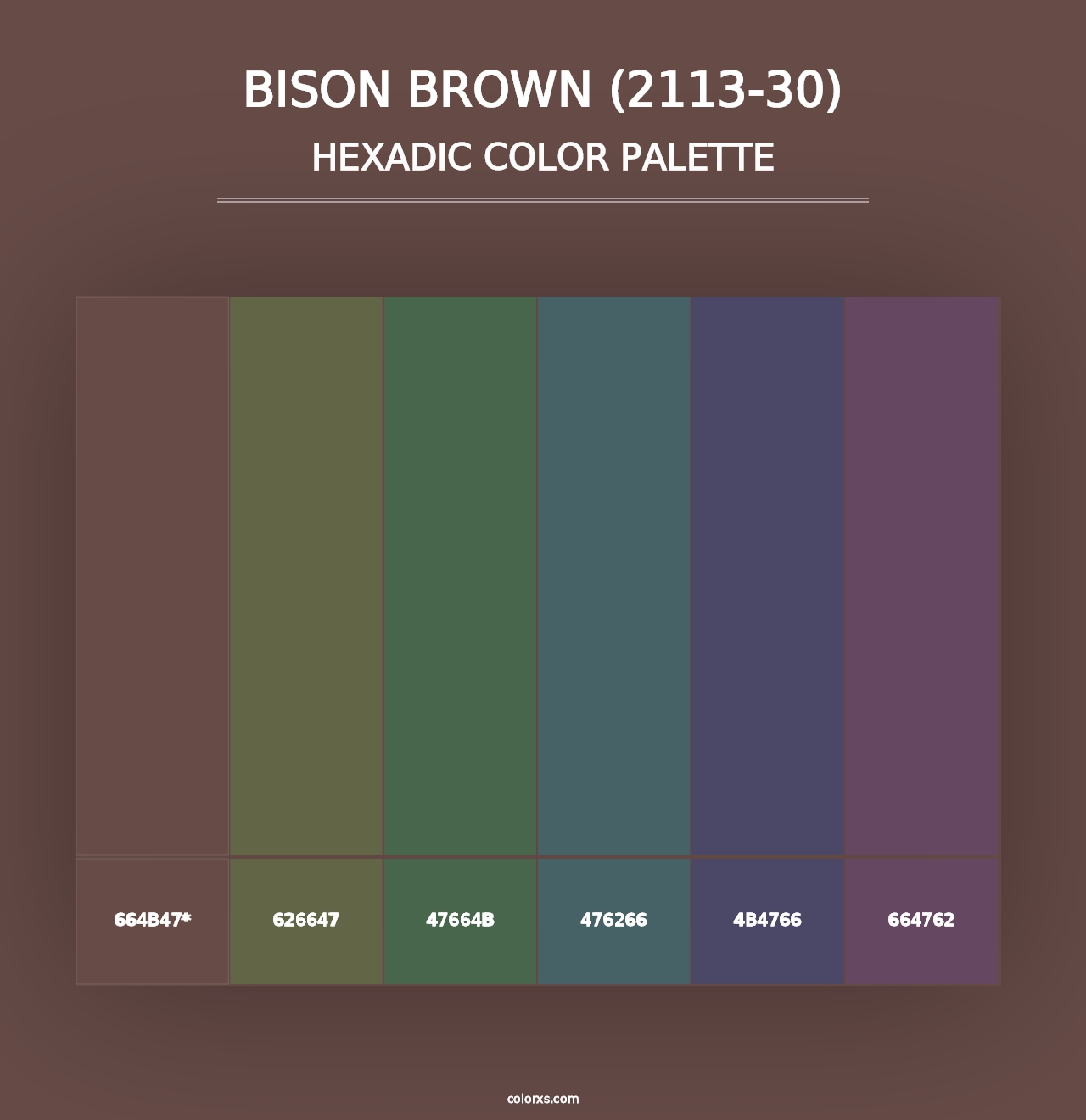 Bison Brown (2113-30) - Hexadic Color Palette