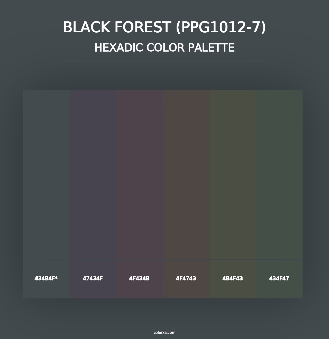 Black Forest (PPG1012-7) - Hexadic Color Palette