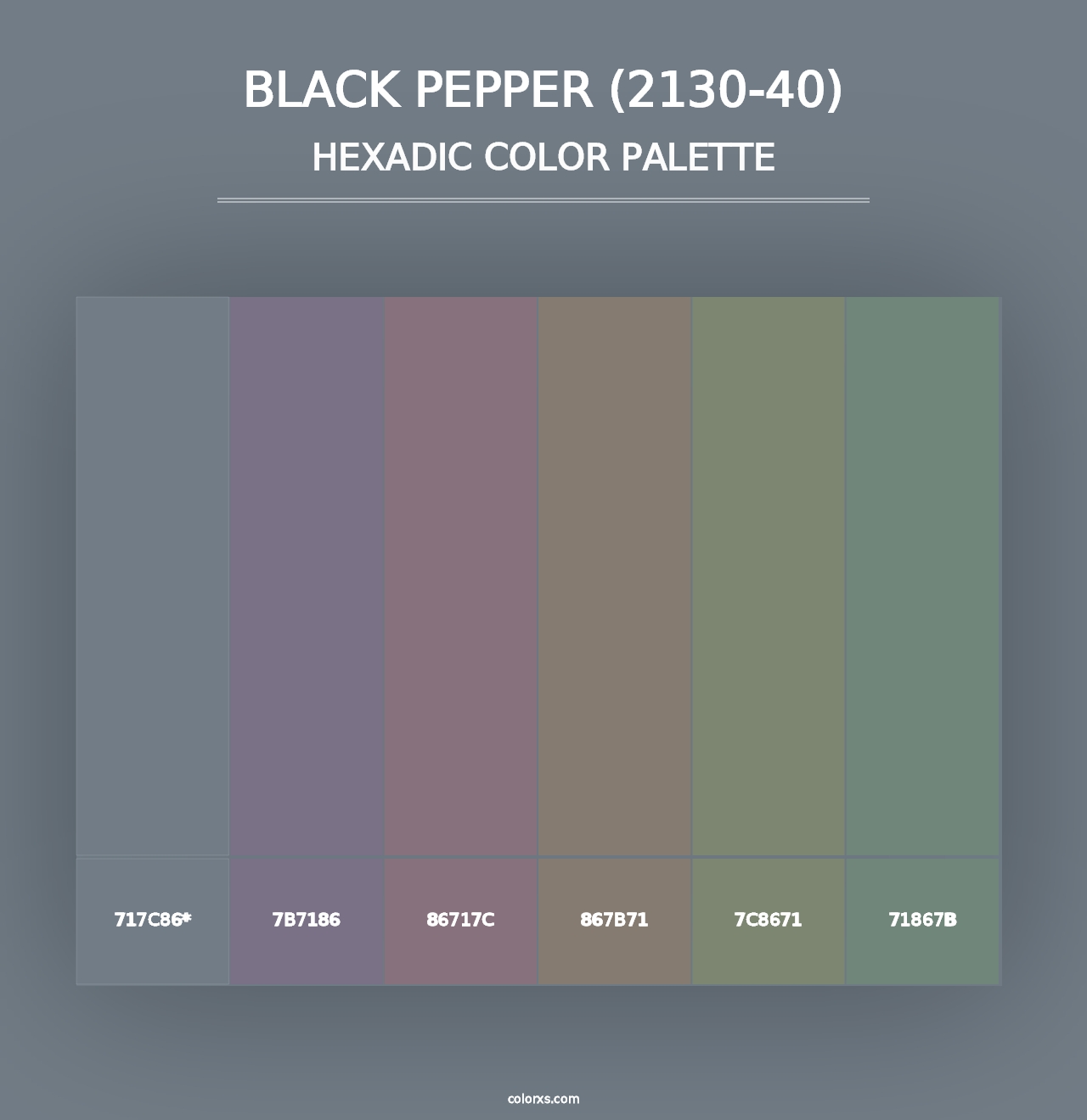 Black Pepper (2130-40) - Hexadic Color Palette