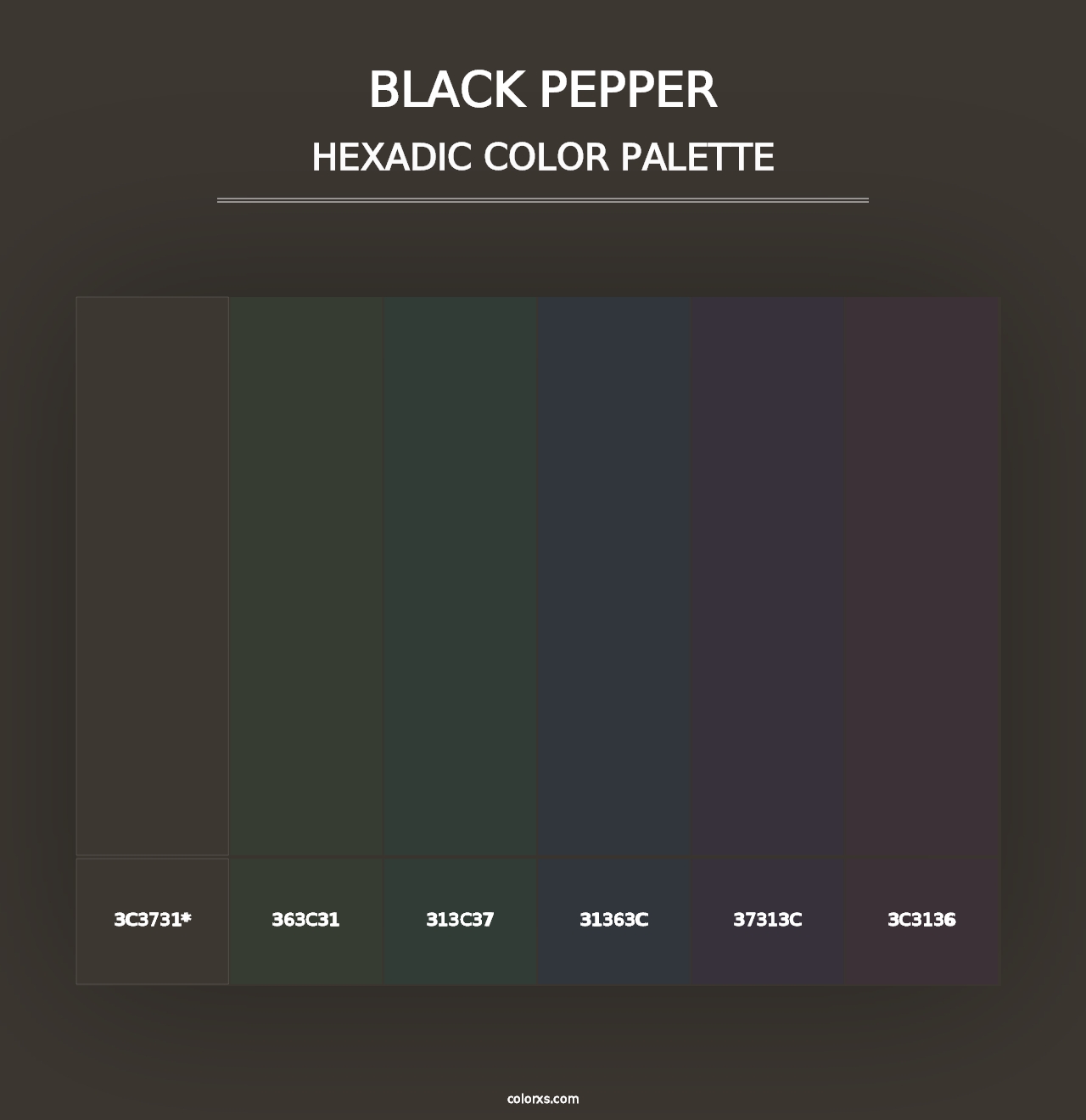 Black Pepper - Hexadic Color Palette