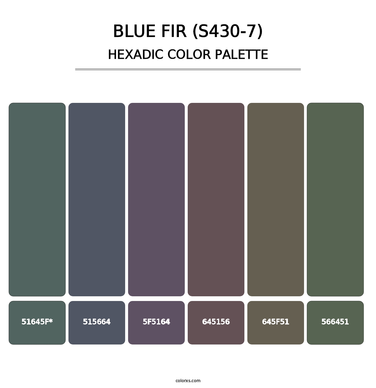 Blue Fir (S430-7) - Hexadic Color Palette