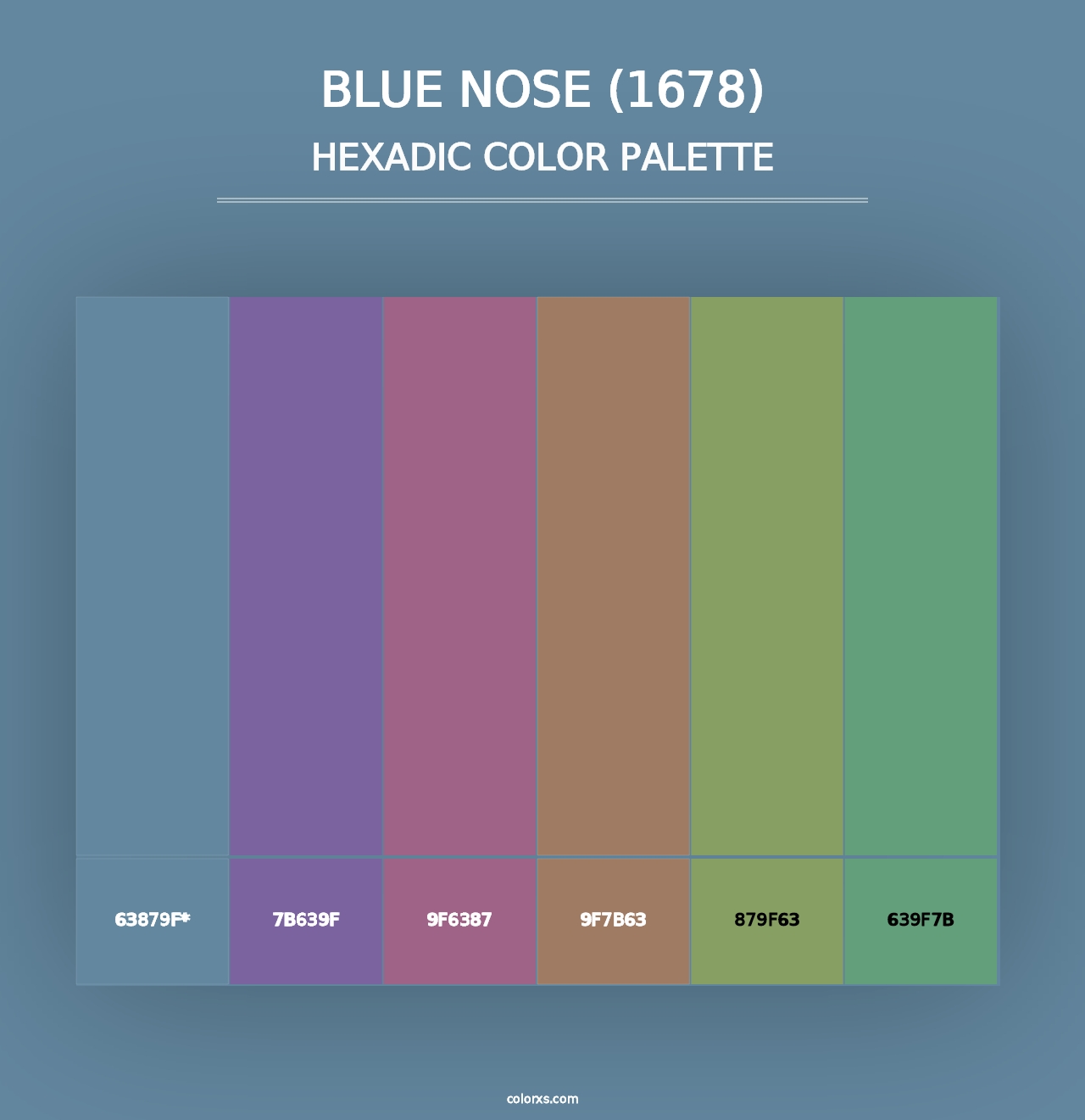 Blue Nose (1678) - Hexadic Color Palette