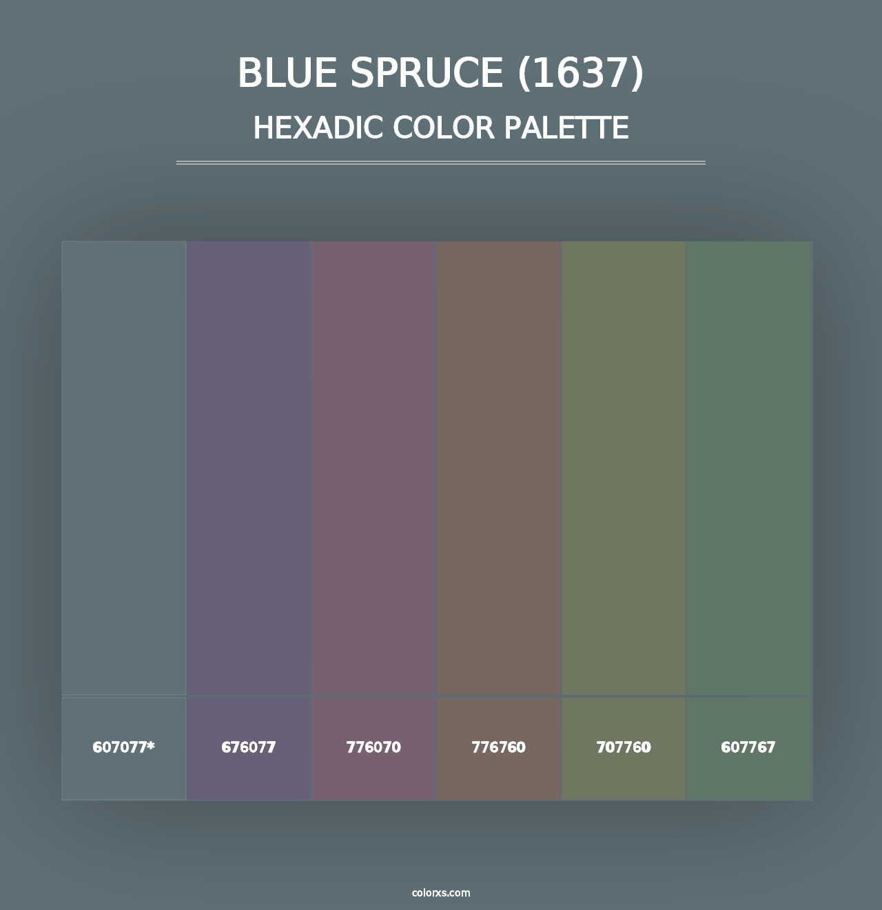 Blue Spruce (1637) - Hexadic Color Palette