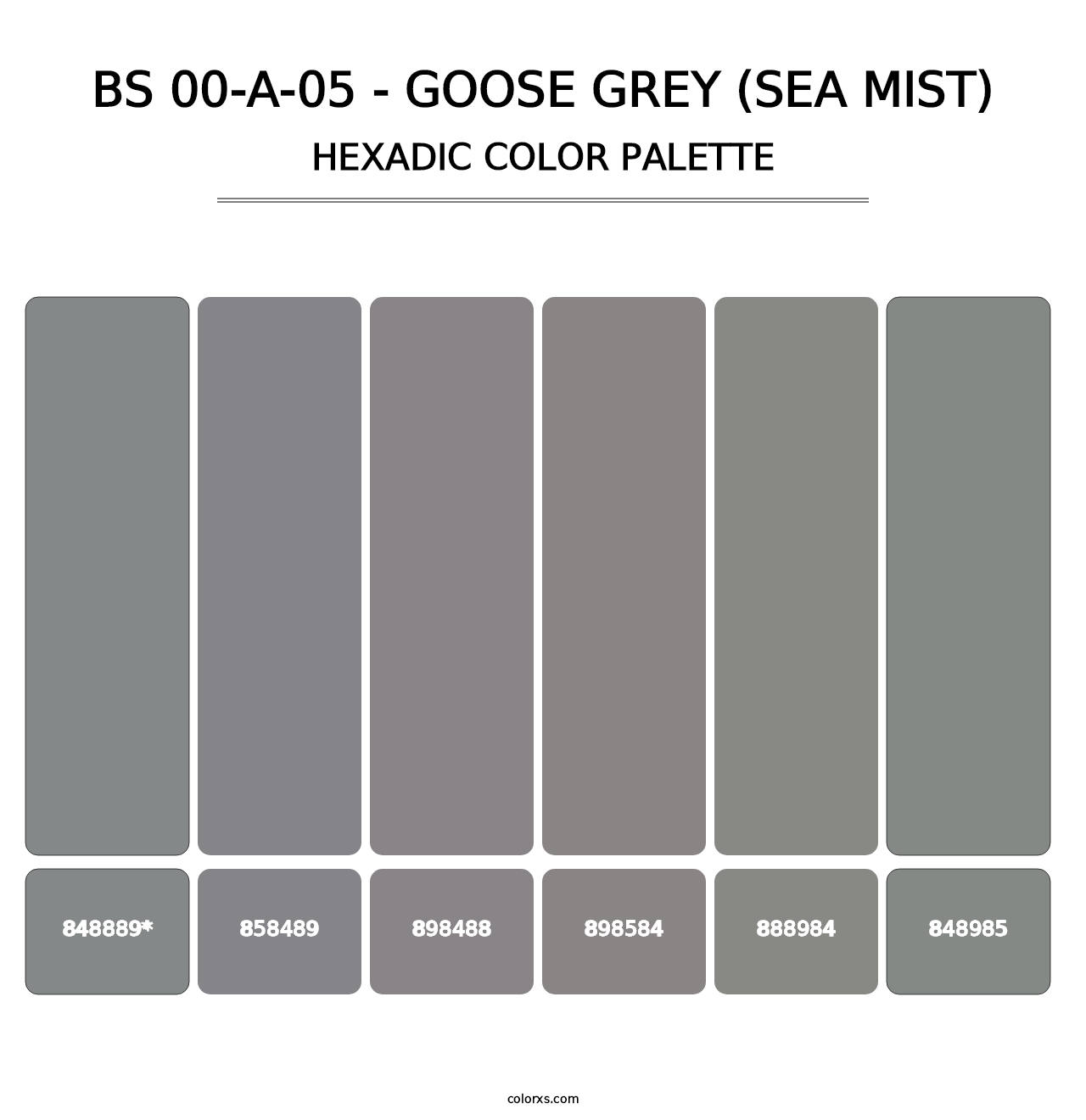 BS 00-A-05 - Goose Grey (Sea Mist) - Hexadic Color Palette