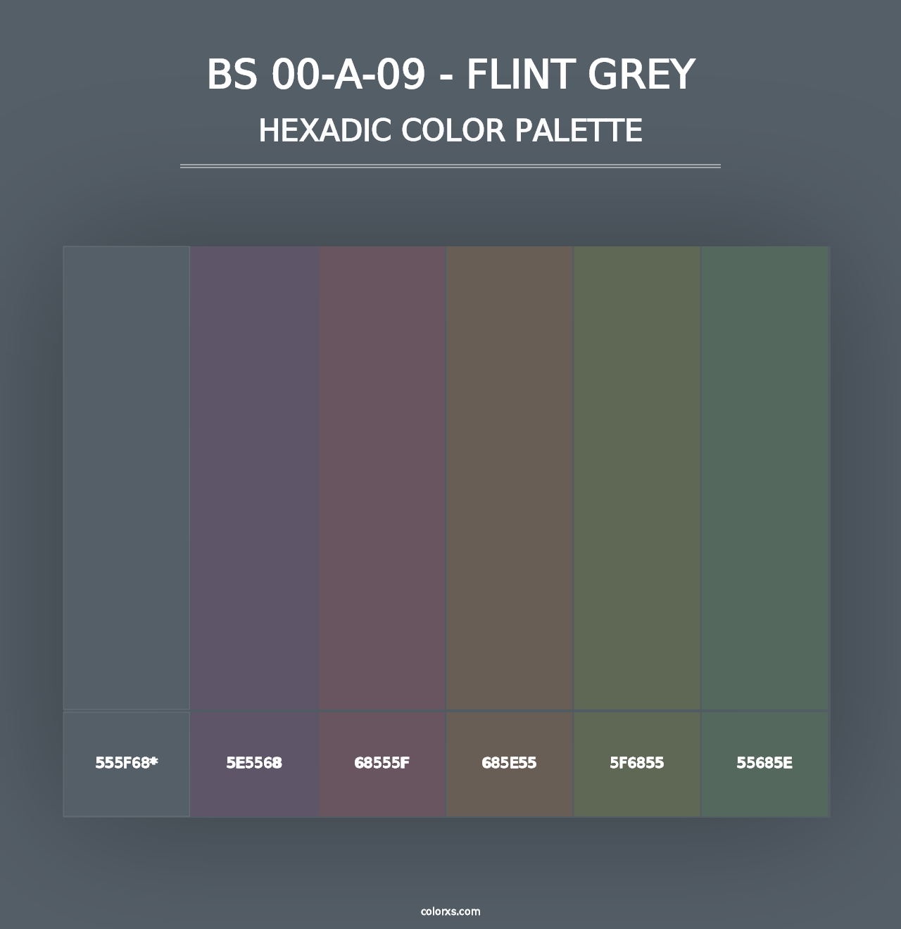 BS 00-A-09 - Flint Grey - Hexadic Color Palette