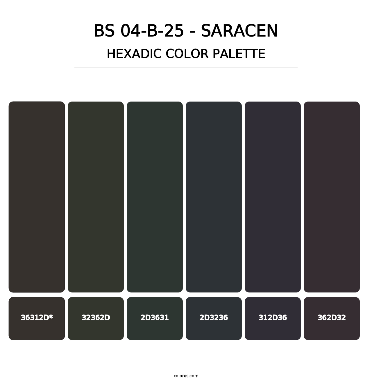 BS 04-B-25 - Saracen - Hexadic Color Palette