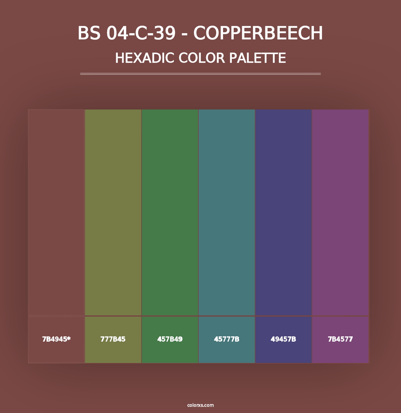 BS 04-C-39 - Copperbeech - Hexadic Color Palette