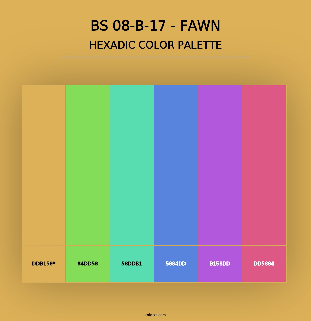 BS 08-B-17 - Fawn - Hexadic Color Palette