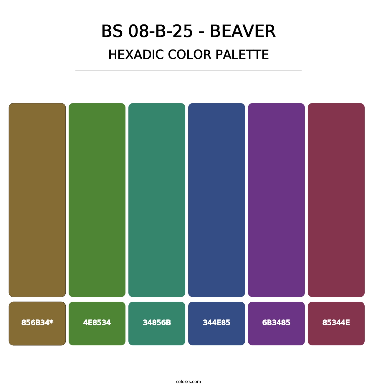 BS 08-B-25 - Beaver - Hexadic Color Palette