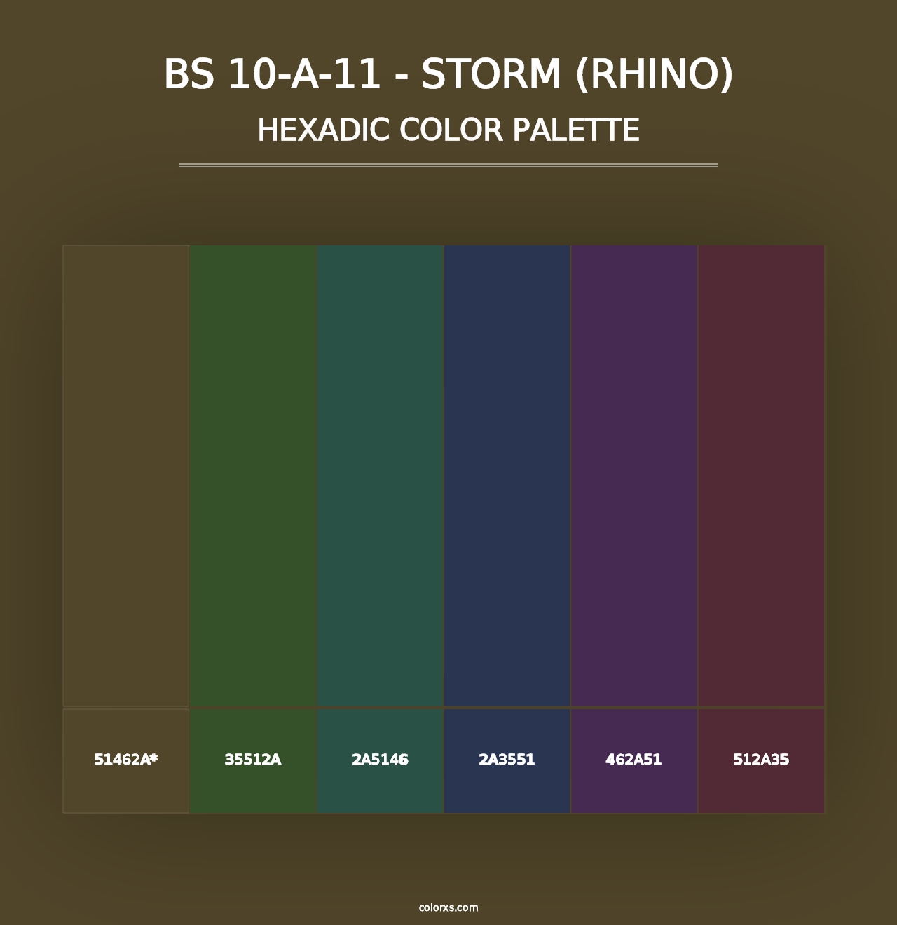 BS 10-A-11 - Storm (Rhino) - Hexadic Color Palette