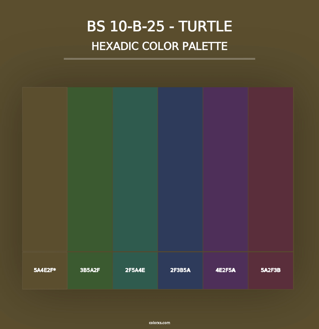 BS 10-B-25 - Turtle - Hexadic Color Palette