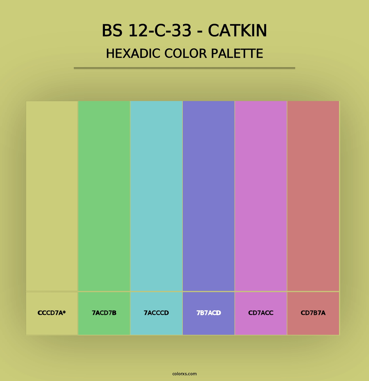 BS 12-C-33 - Catkin - Hexadic Color Palette