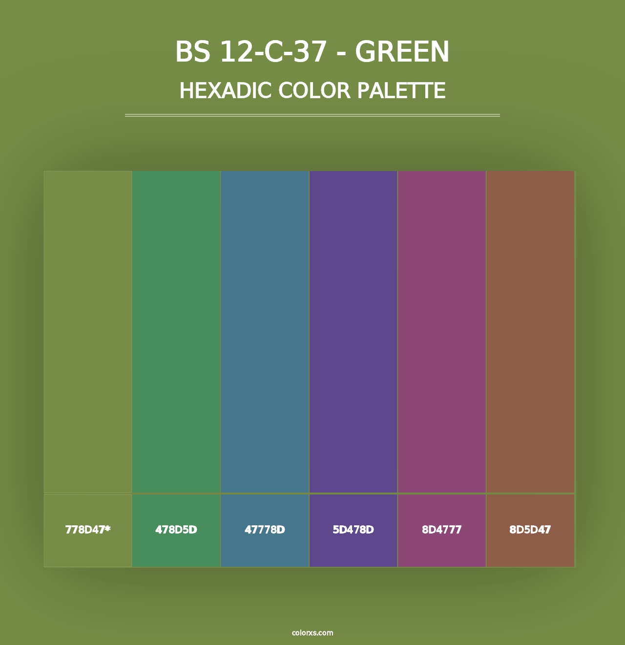 BS 12-C-37 - Green - Hexadic Color Palette