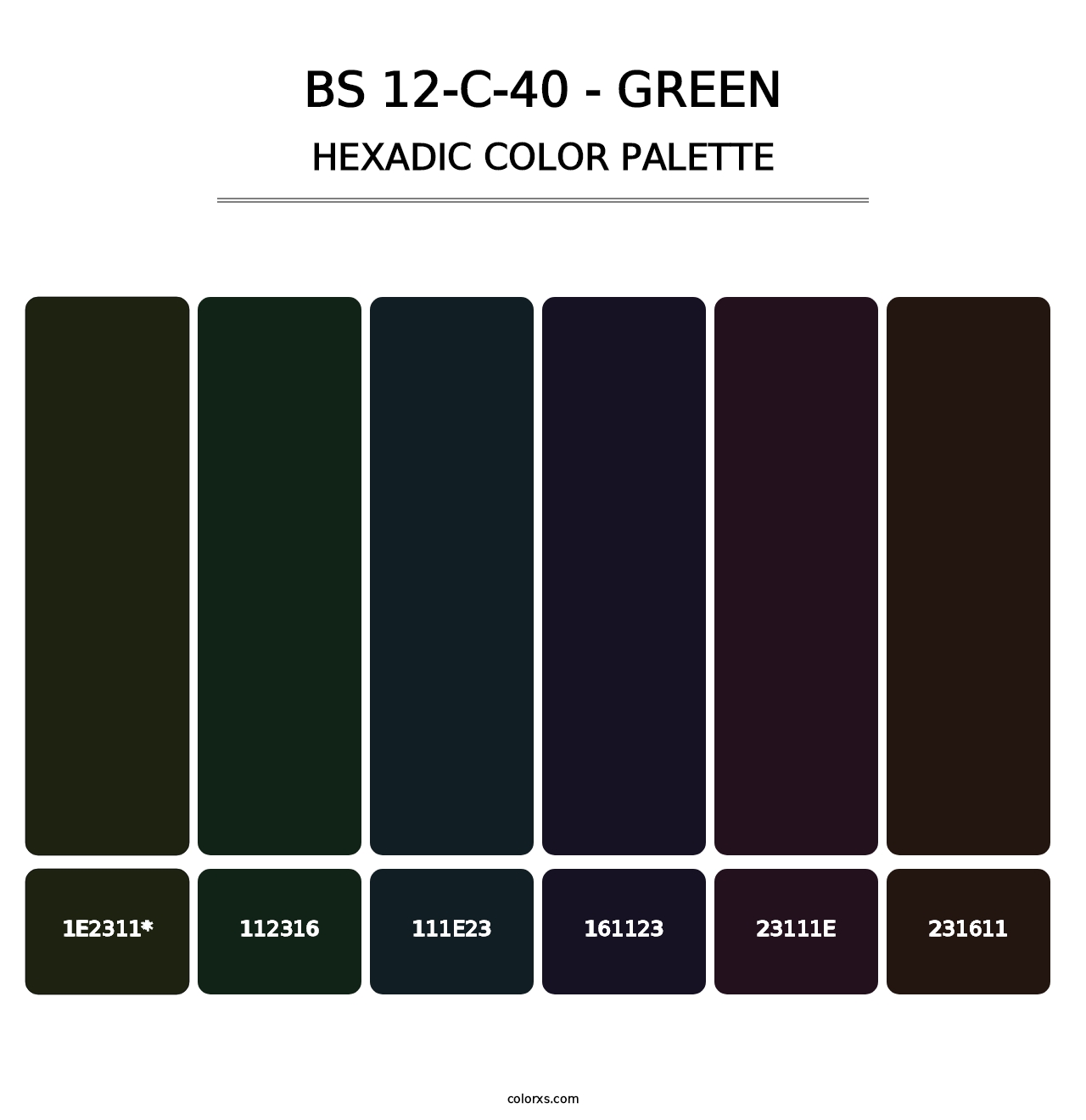 BS 12-C-40 - Green - Hexadic Color Palette