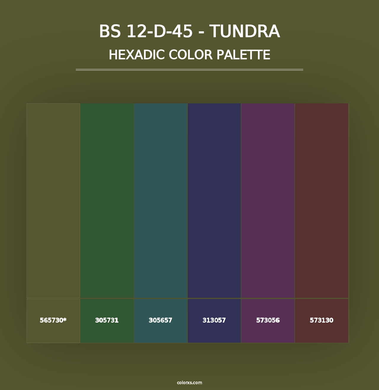 BS 12-D-45 - Tundra - Hexadic Color Palette