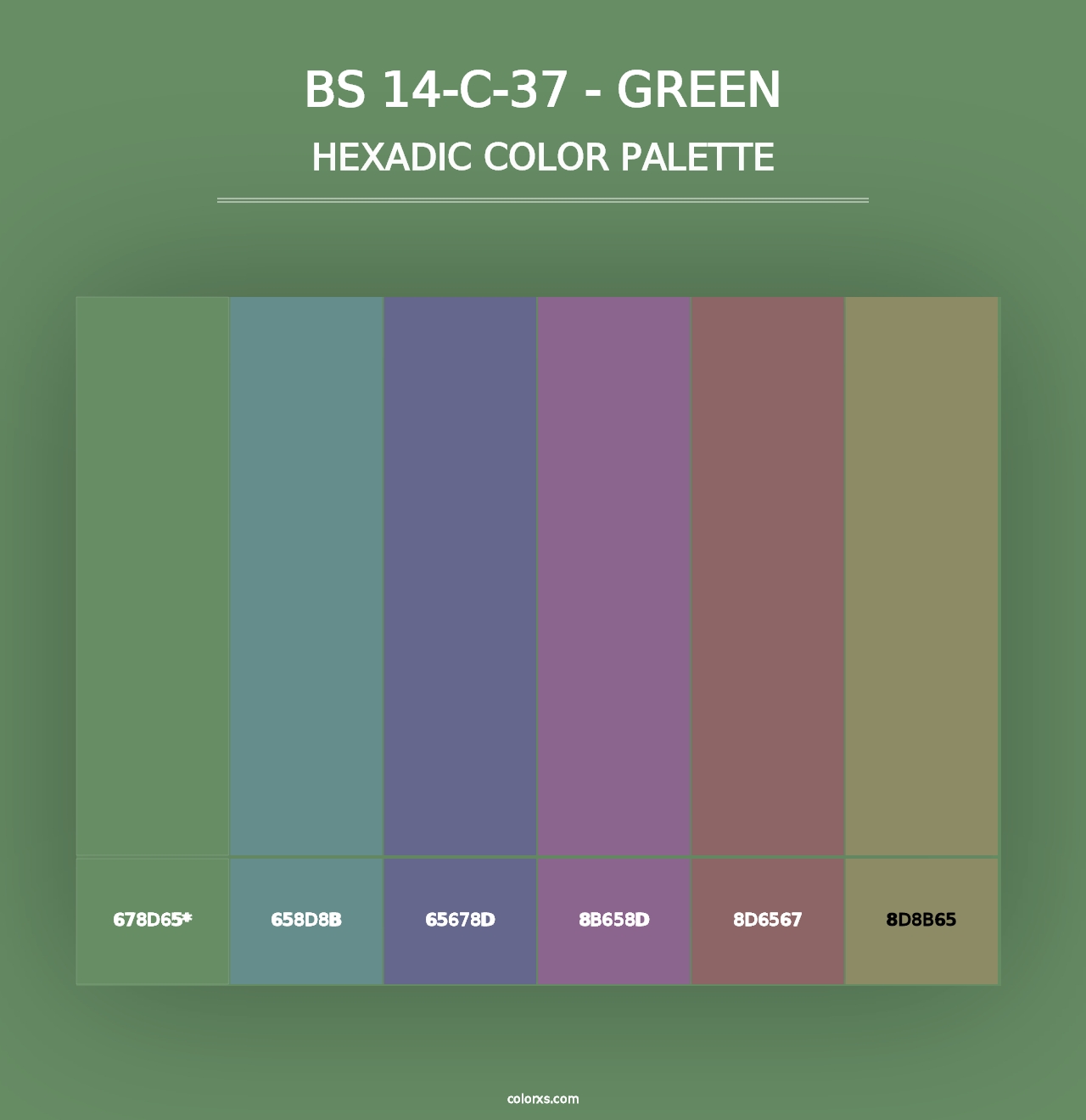 BS 14-C-37 - Green - Hexadic Color Palette