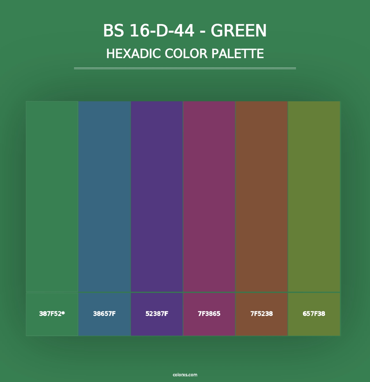 BS 16-D-44 - Green - Hexadic Color Palette