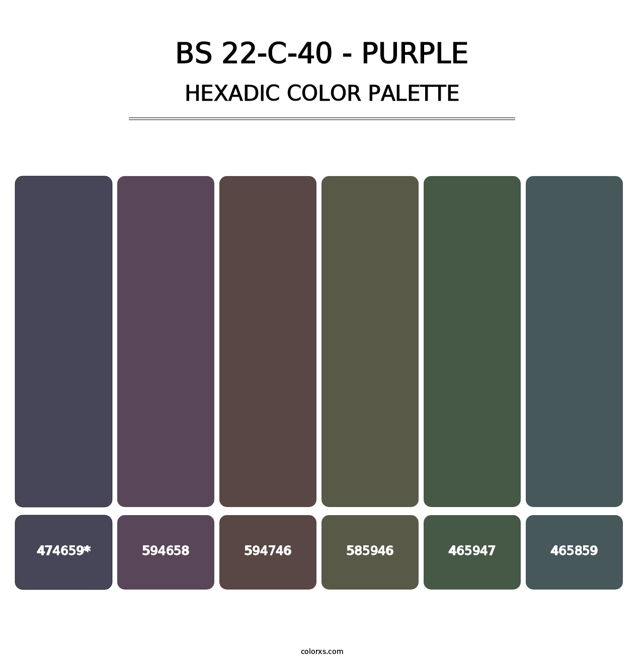 BS 22-C-40 - Purple - Hexadic Color Palette