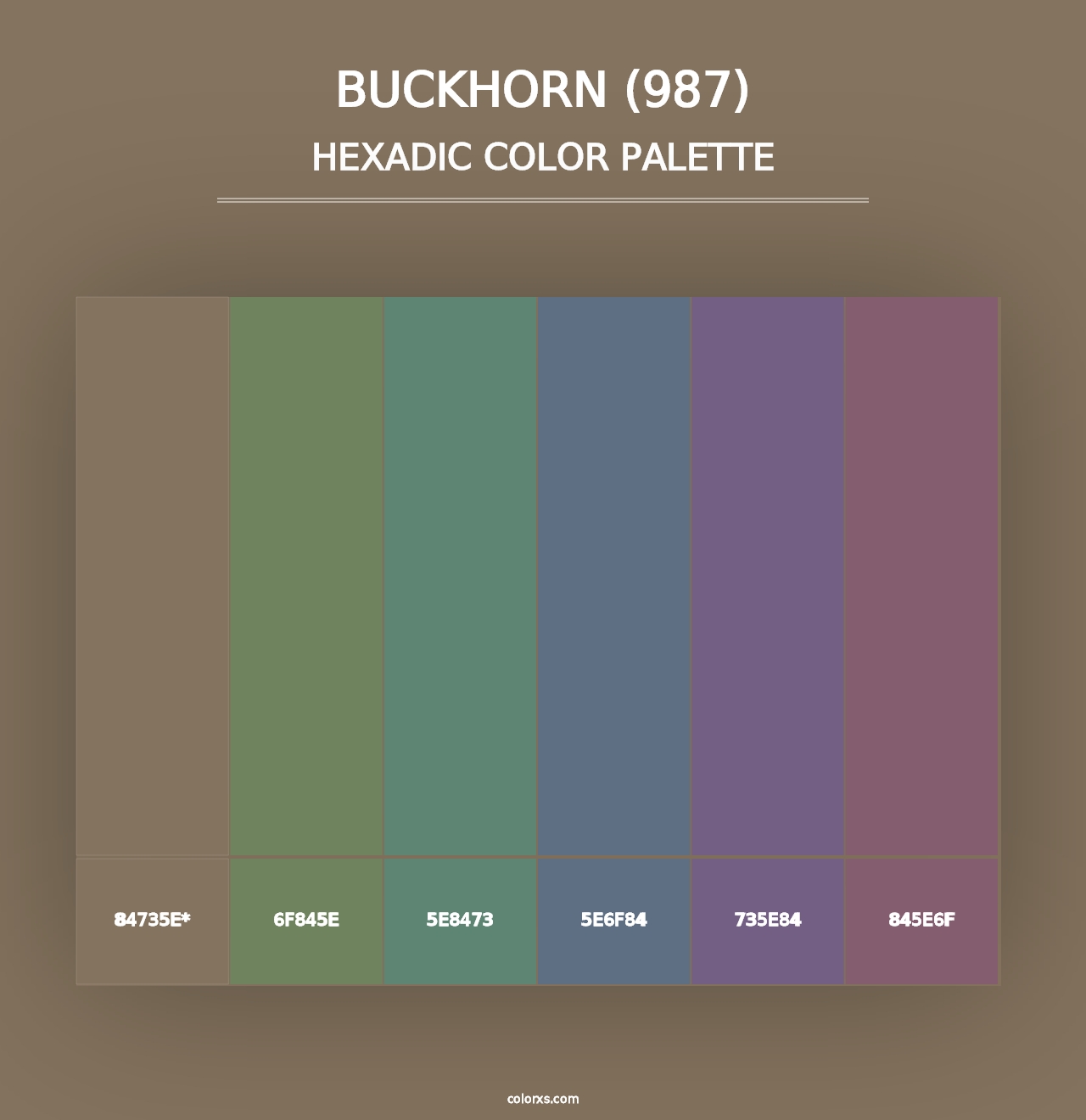 Buckhorn (987) - Hexadic Color Palette