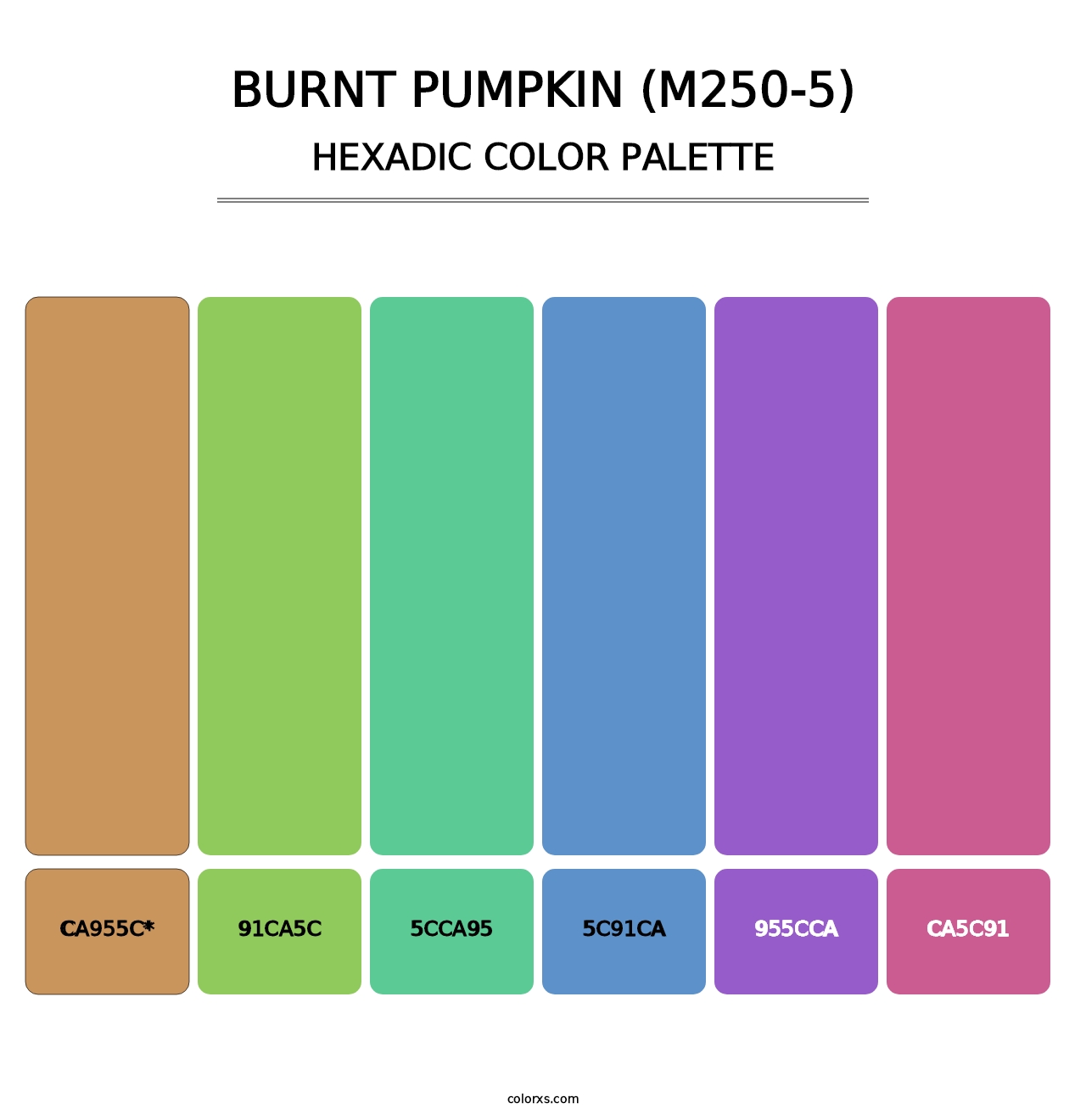 Burnt Pumpkin (M250-5) - Hexadic Color Palette