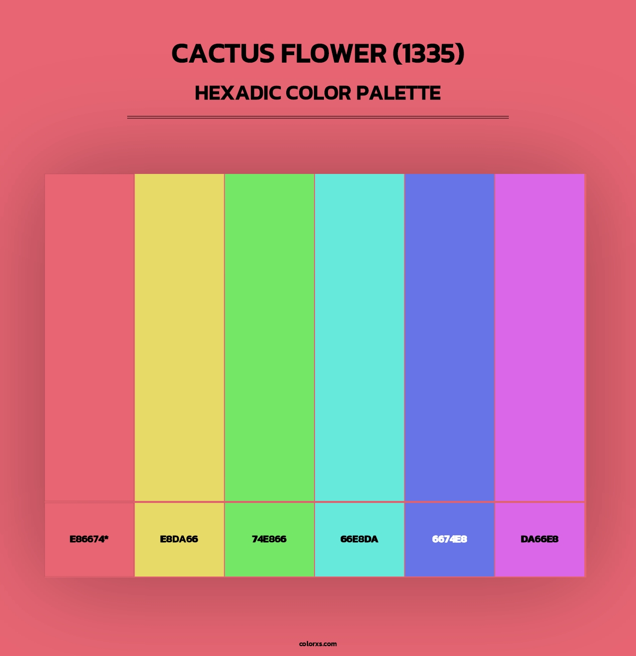 Cactus Flower (1335) - Hexadic Color Palette