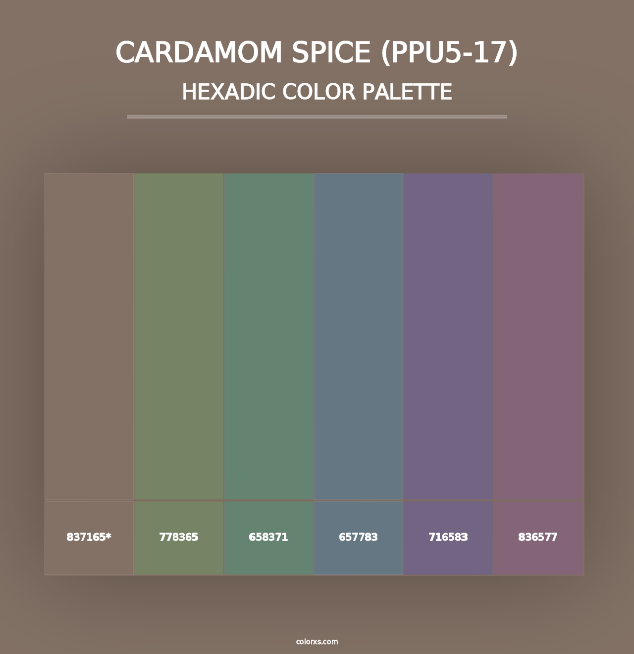 Cardamom Spice (PPU5-17) - Hexadic Color Palette