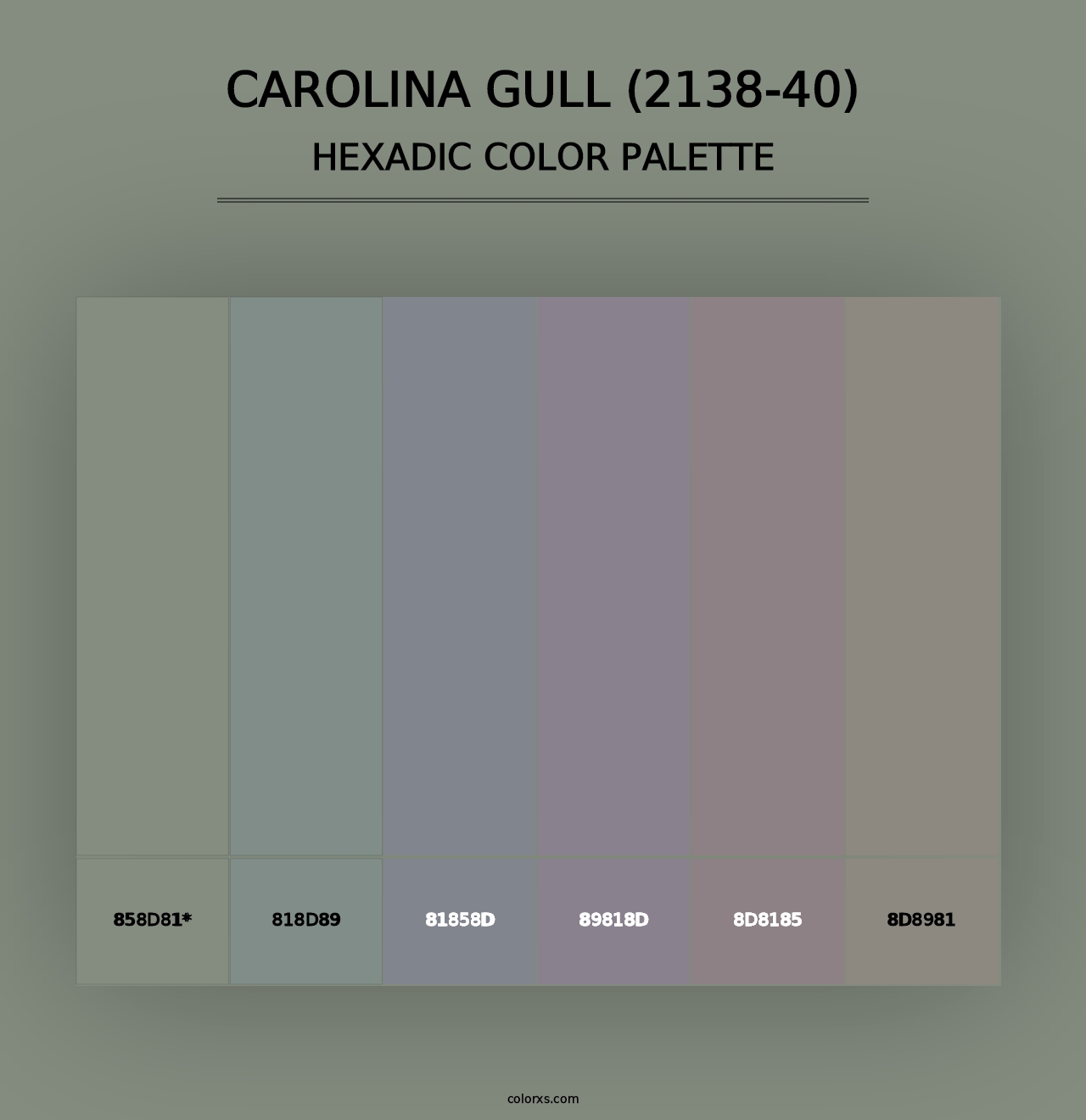 Carolina Gull (2138-40) - Hexadic Color Palette