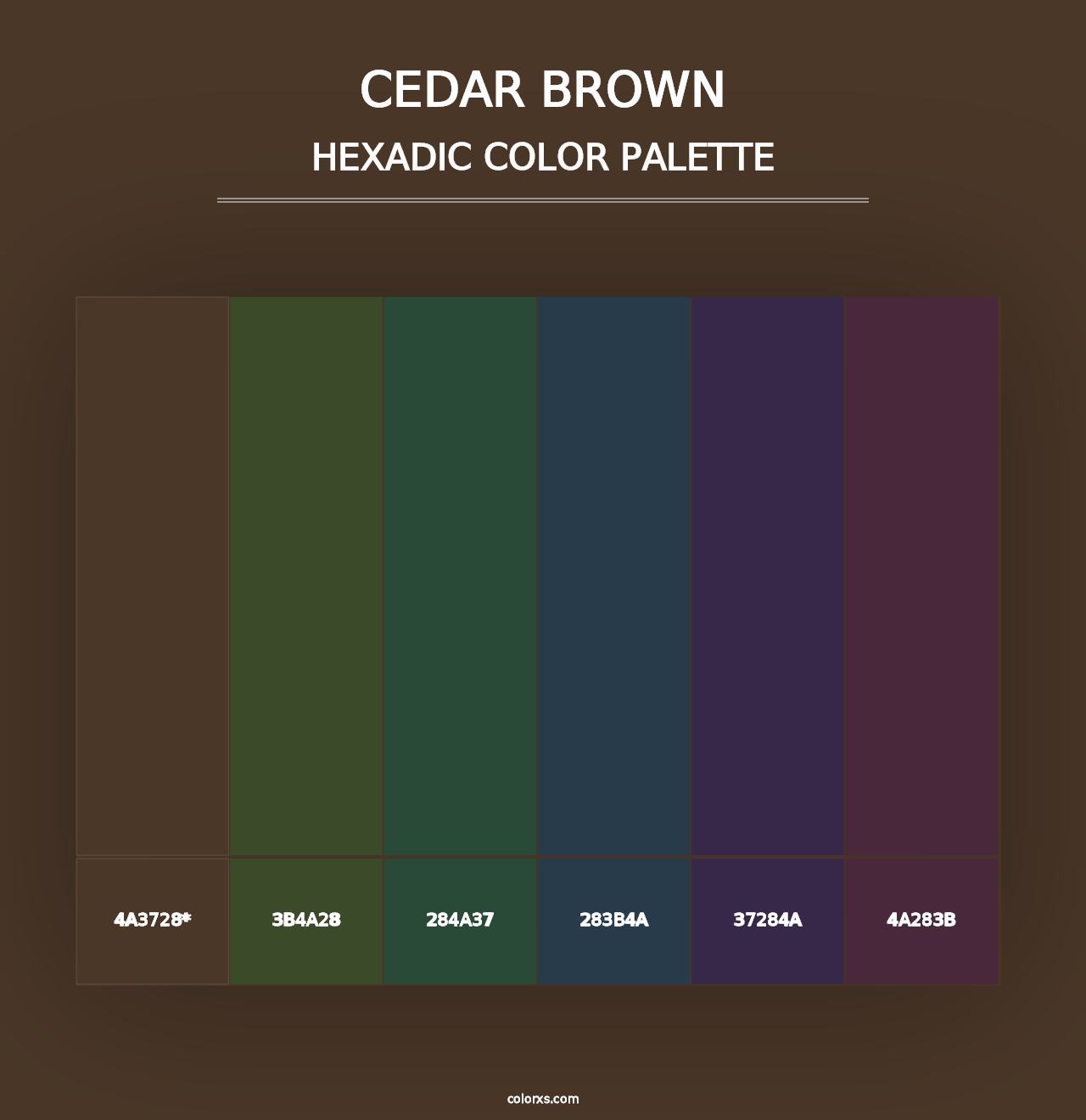 Cedar Brown - Hexadic Color Palette