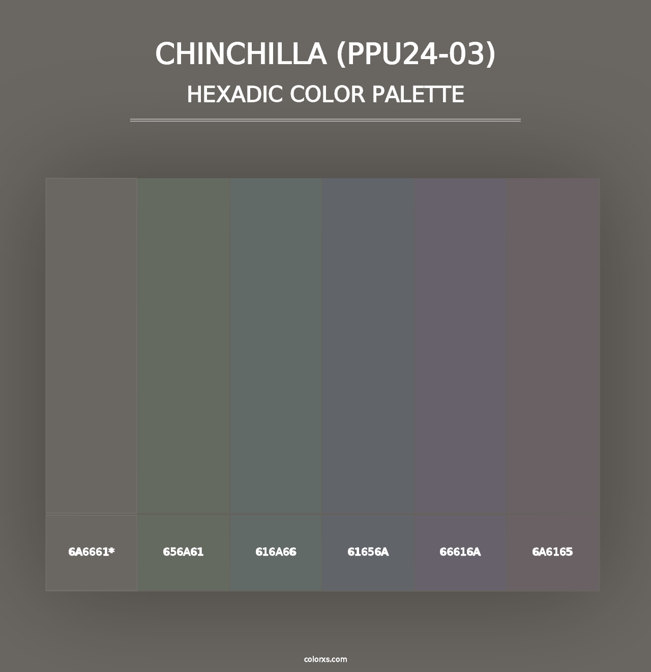 Chinchilla (PPU24-03) - Hexadic Color Palette