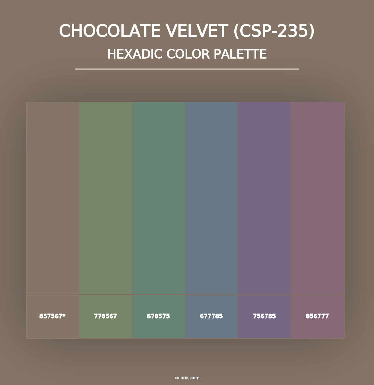 Chocolate Velvet (CSP-235) - Hexadic Color Palette