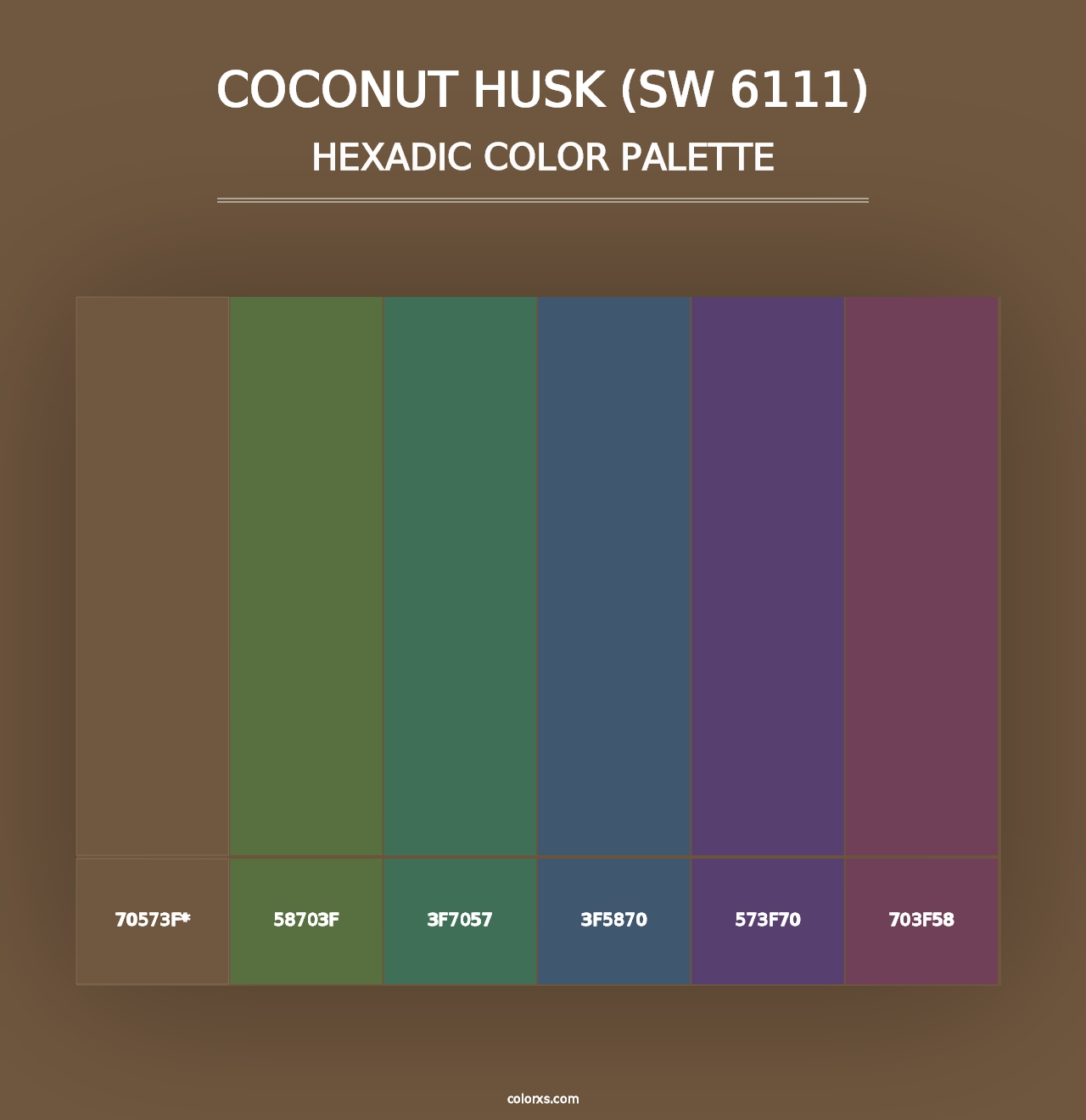 Coconut Husk (SW 6111) - Hexadic Color Palette