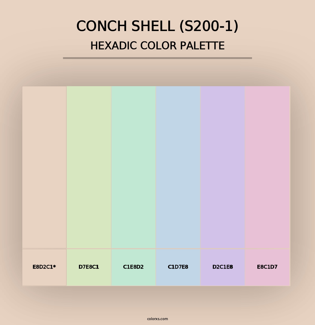 Conch Shell (S200-1) - Hexadic Color Palette