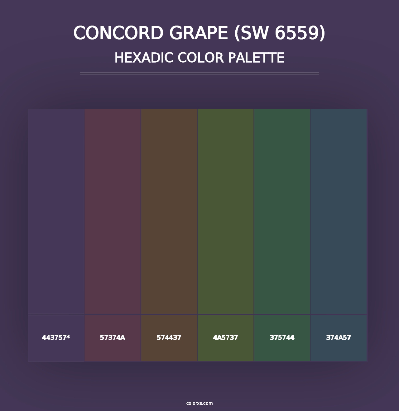 Concord Grape (SW 6559) - Hexadic Color Palette