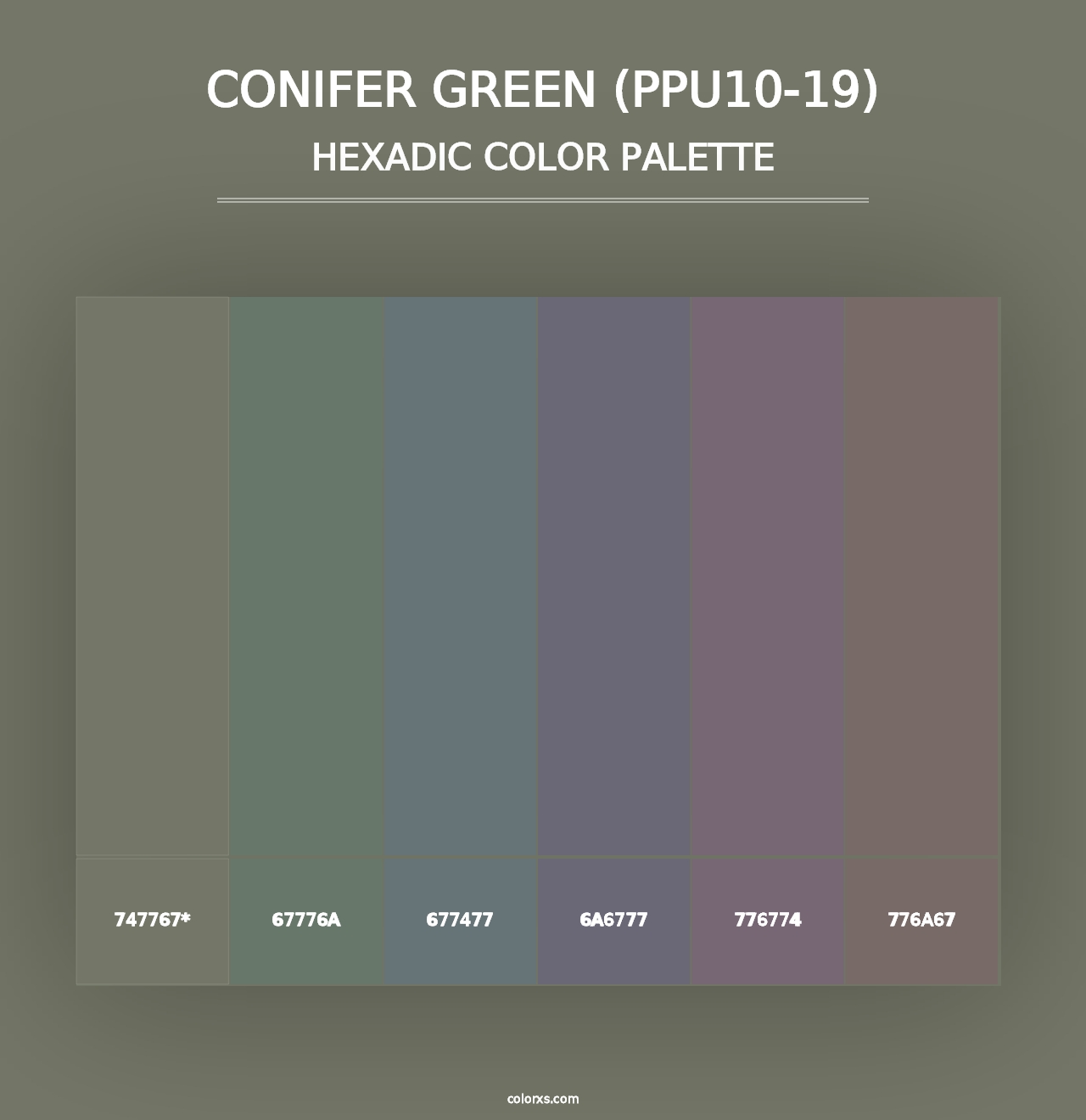 Conifer Green (PPU10-19) - Hexadic Color Palette