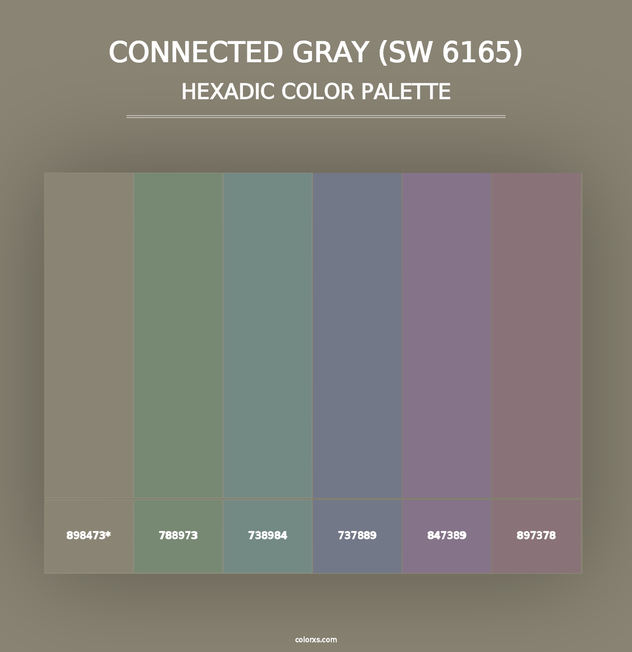 Connected Gray (SW 6165) - Hexadic Color Palette