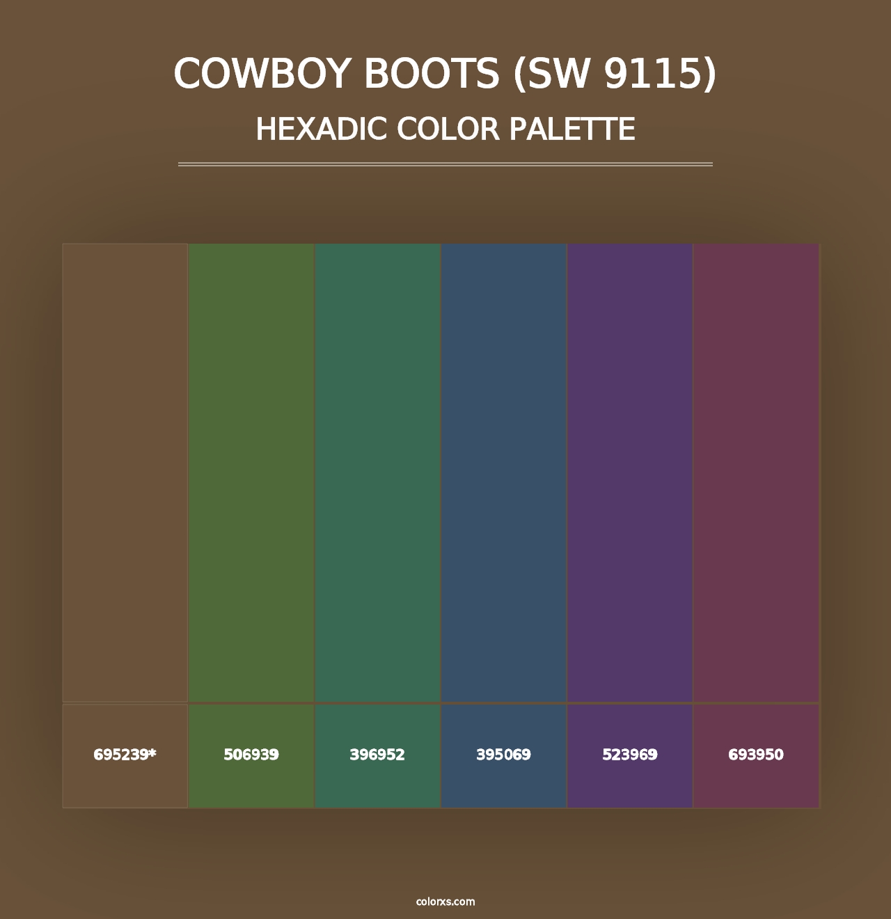 Cowboy Boots (SW 9115) - Hexadic Color Palette