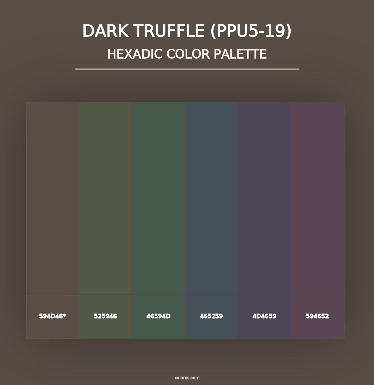 Dark Truffle (PPU5-19) - Hexadic Color Palette