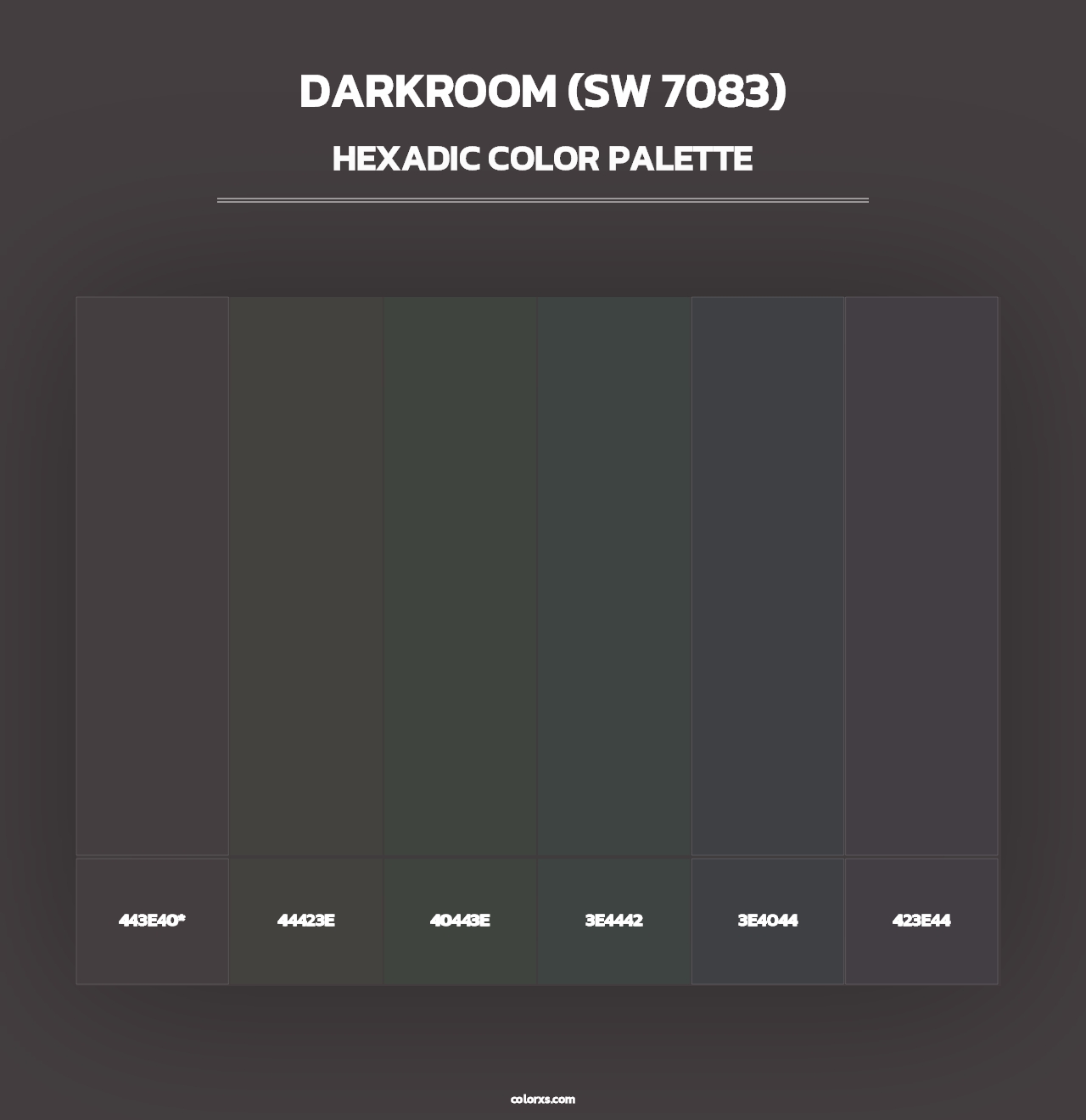 Darkroom (SW 7083) - Hexadic Color Palette