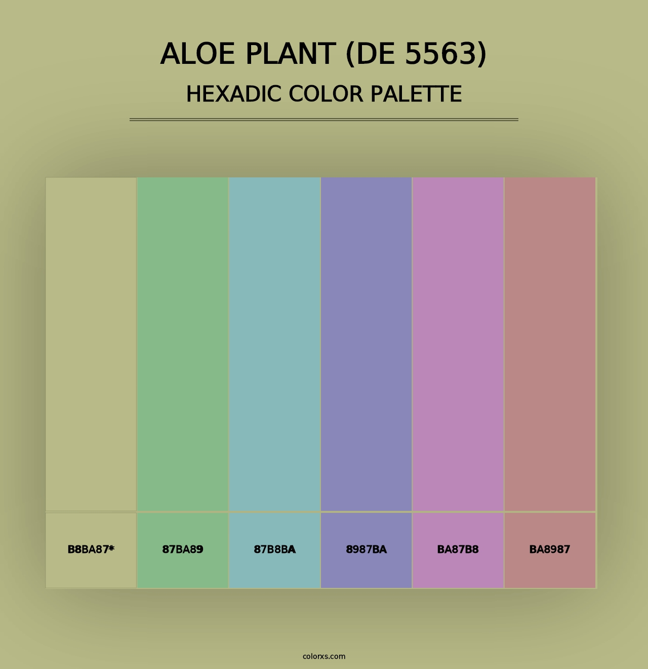 Aloe Plant (DE 5563) - Hexadic Color Palette