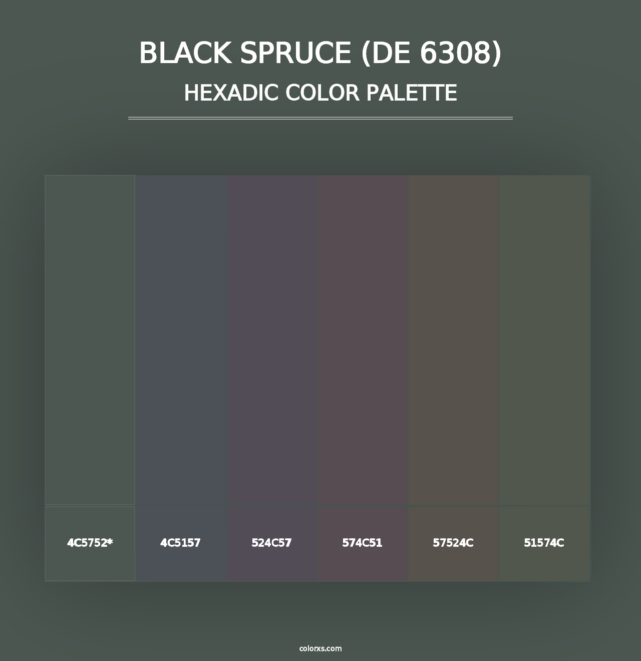 Black Spruce (DE 6308) - Hexadic Color Palette