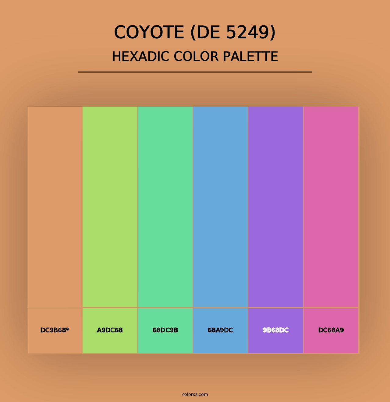 Coyote (DE 5249) - Hexadic Color Palette